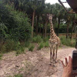 Meet your Posher, Jimmy